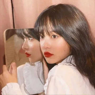 白手掌 封面